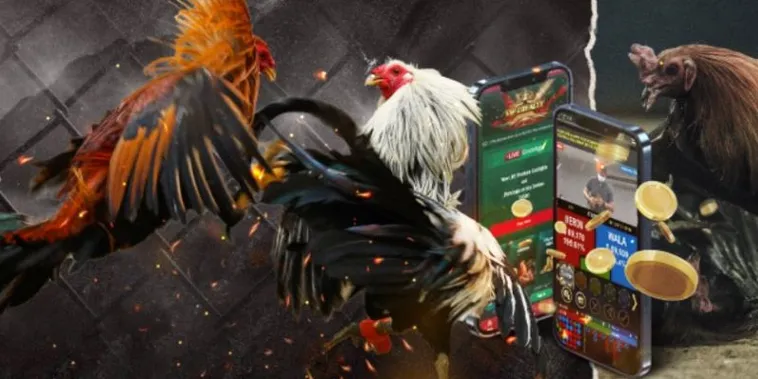 Cách Chơi Đá Gà GA28 Tại P3 - Hướng Dẫn Tối Ưu Cho Người Chơi