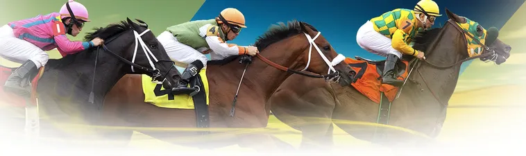 Tìm Hiểu Cá Cược Đua Ngựa Tại P3: Hành Trình Khám Phá Thú Vị 1 Tìm Hiểu Cá Cược Đua Ngựa Tại P3: Hành Trình Khám Phá Thú Vị